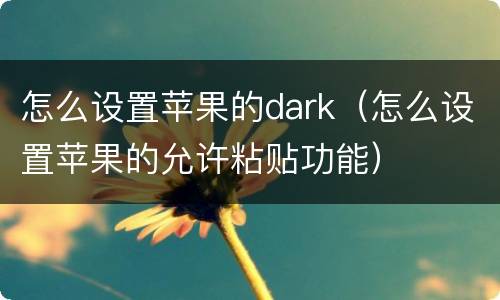 怎么设置苹果的dark（怎么设置苹果的允许粘贴功能）