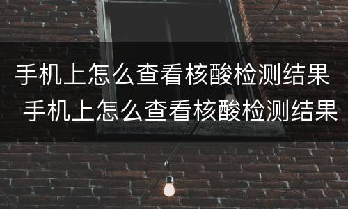 手机上怎么查看核酸检测结果 手机上怎么查看核酸检测结果