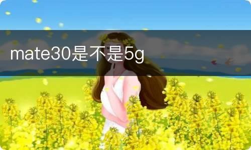 mate30是不是5g
