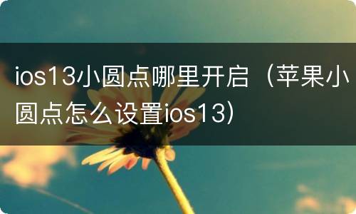 ios13小圆点哪里开启（苹果小圆点怎么设置ios13）