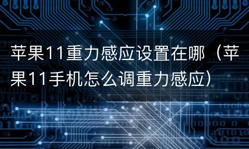 苹果11重力感应设置在哪（苹果11手机怎么调重力感应）