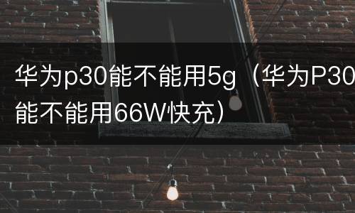 华为p30能不能用5g（华为P30能不能用66W快充）