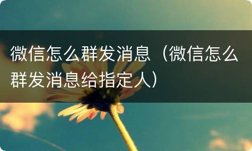 微信怎么群发消息（微信怎么群发消息给指定人）