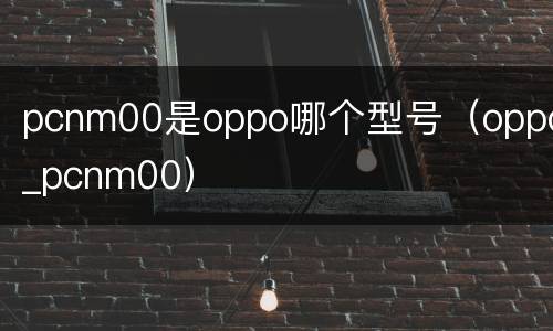 pcnm00是oppo哪个型号（oppo_pcnm00）