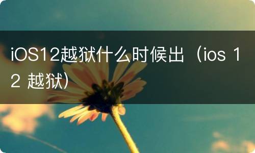 iOS12越狱什么时候出（ios 12 越狱）