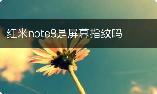 红米note8是屏幕指纹吗