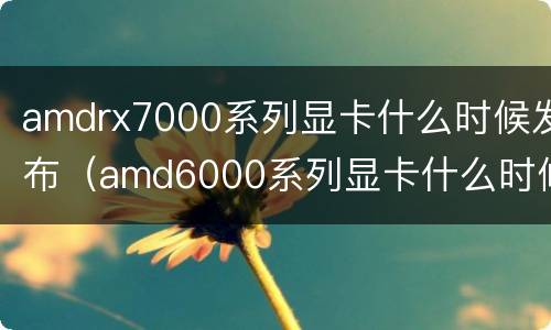 amdrx7000系列显卡什么时候发布（amd6000系列显卡什么时候发布）