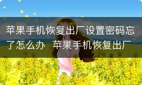 苹果手机恢复出厂设置密码忘了怎么办  苹果手机恢复出厂设置密码忘了怎么解决