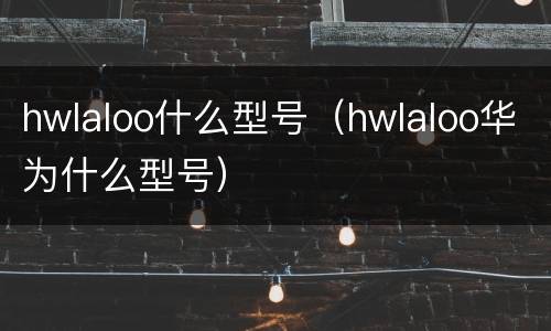 hwlaloo什么型号（hwlaloo华为什么型号）