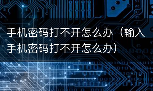 手机密码打不开怎么办（输入手机密码打不开怎么办）