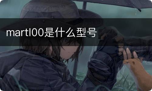martl00是什么型号