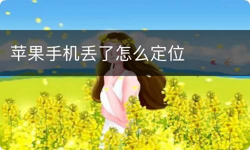 苹果手机丢了怎么定位