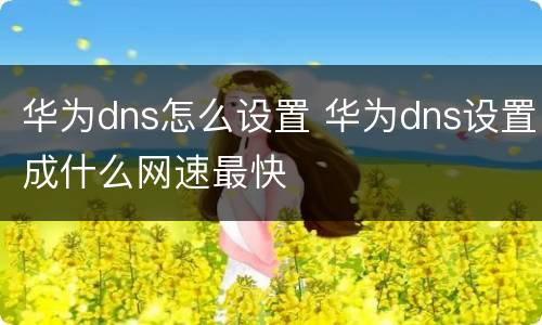 华为dns怎么设置 华为dns设置成什么网速最快