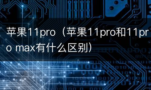苹果11pro（苹果11pro和11pro max有什么区别）