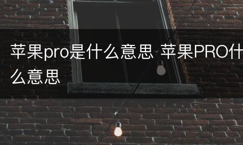 苹果pro是什么意思 苹果PRO什么意思