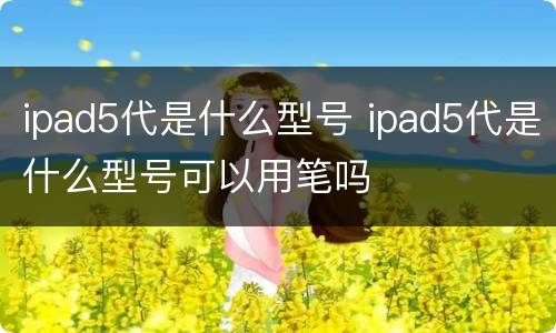ipad5代是什么型号 ipad5代是什么型号可以用笔吗