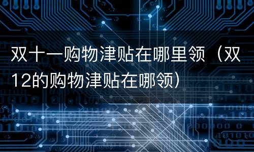 双十一购物津贴在哪里领（双12的购物津贴在哪领）