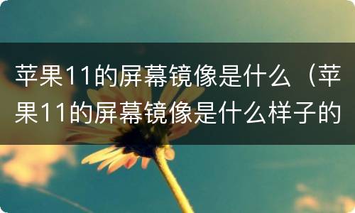 苹果11的屏幕镜像是什么（苹果11的屏幕镜像是什么样子的）