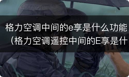 格力空调中间的e享是什么功能（格力空调遥控中间的E享是什么意思）