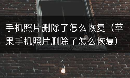 手机照片删除了怎么恢复（苹果手机照片删除了怎么恢复）