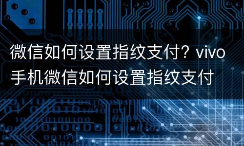 微信如何设置指纹支付? vivo手机微信如何设置指纹支付