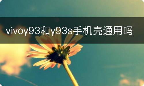 vivoy93和y93s手机壳通用吗