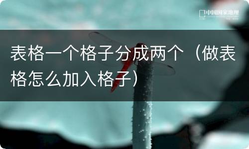 表格一个格子分成两个（做表格怎么加入格子）