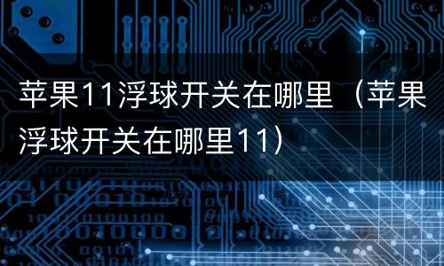 苹果11浮球开关在哪里（苹果浮球开关在哪里11）