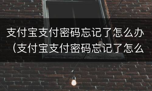 支付宝支付密码忘记了怎么办（支付宝支付密码忘记了怎么办没有银行卡）