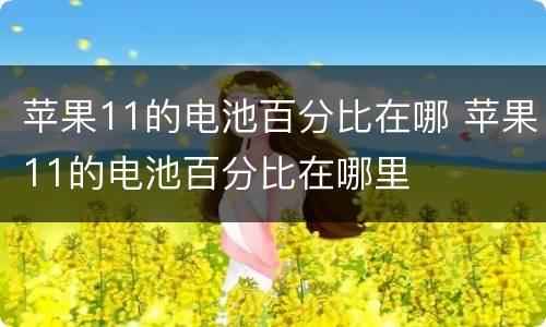苹果11的电池百分比在哪 苹果11的电池百分比在哪里
