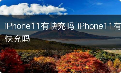 iPhone11有快充吗 iPhone11有快充吗