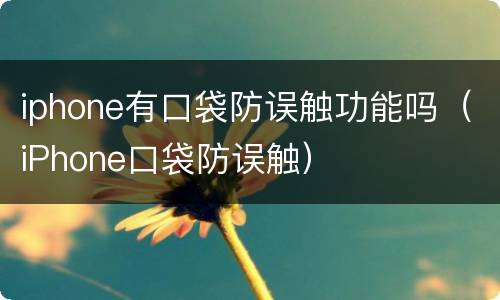 iphone有口袋防误触功能吗（iPhone口袋防误触）