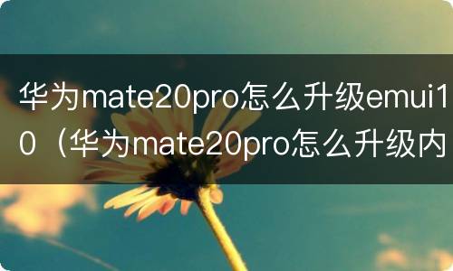 华为mate20pro怎么升级emui10（华为mate20pro怎么升级内存）
