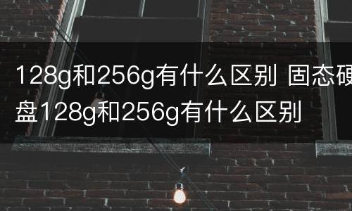 128g和256g有什么区别 固态硬盘128g和256g有什么区别