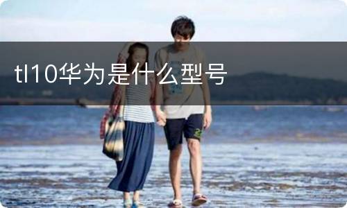 tl10华为是什么型号