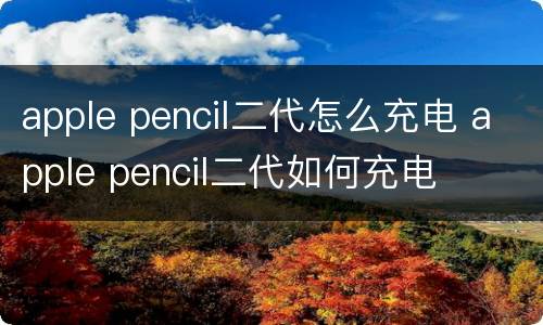 apple pencil二代怎么充电 apple pencil二代如何充电