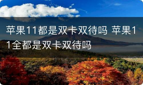 苹果11都是双卡双待吗 苹果11全都是双卡双待吗