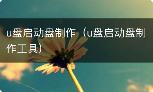 u盘启动盘制作（u盘启动盘制作工具）