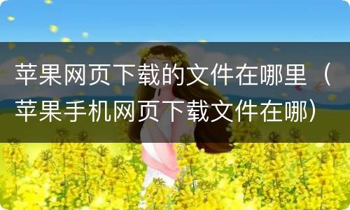 苹果网页下载的文件在哪里（苹果手机网页下载文件在哪）