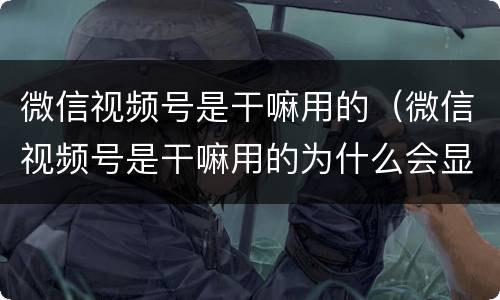 微信视频号是干嘛用的（微信视频号是干嘛用的为什么会显示你的朋友点赞过）