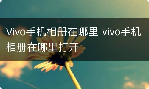 Vivo手机相册在哪里 vivo手机相册在哪里打开
