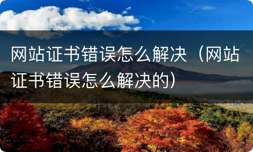 网站证书错误怎么解决（网站证书错误怎么解决的）