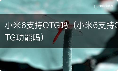 小米6支持OTG吗（小米6支持OTG功能吗）