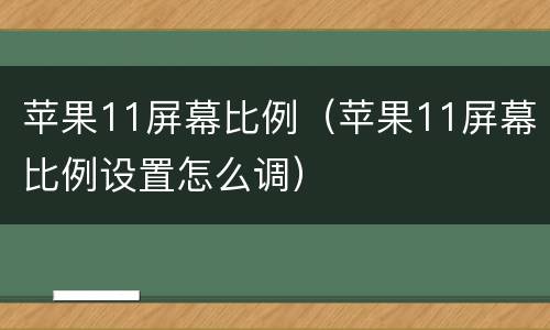 苹果11屏幕比例（苹果11屏幕比例设置怎么调）