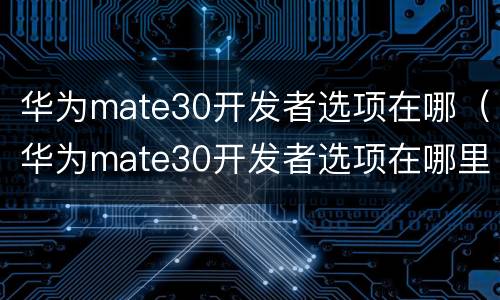 华为mate30开发者选项在哪（华为mate30开发者选项在哪里关闭）