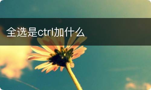 全选是ctrl加什么