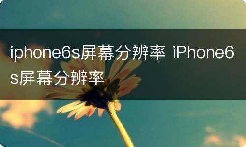 iphone6s屏幕分辨率 iPhone6s屏幕分辨率
