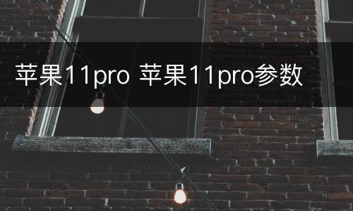 苹果11pro 苹果11pro参数