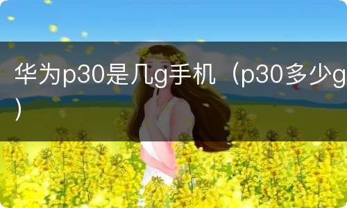 华为p30是几g手机（p30多少g）