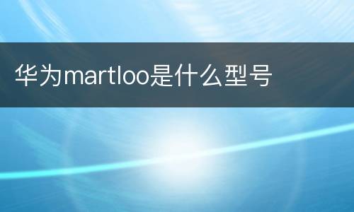 华为martloo是什么型号